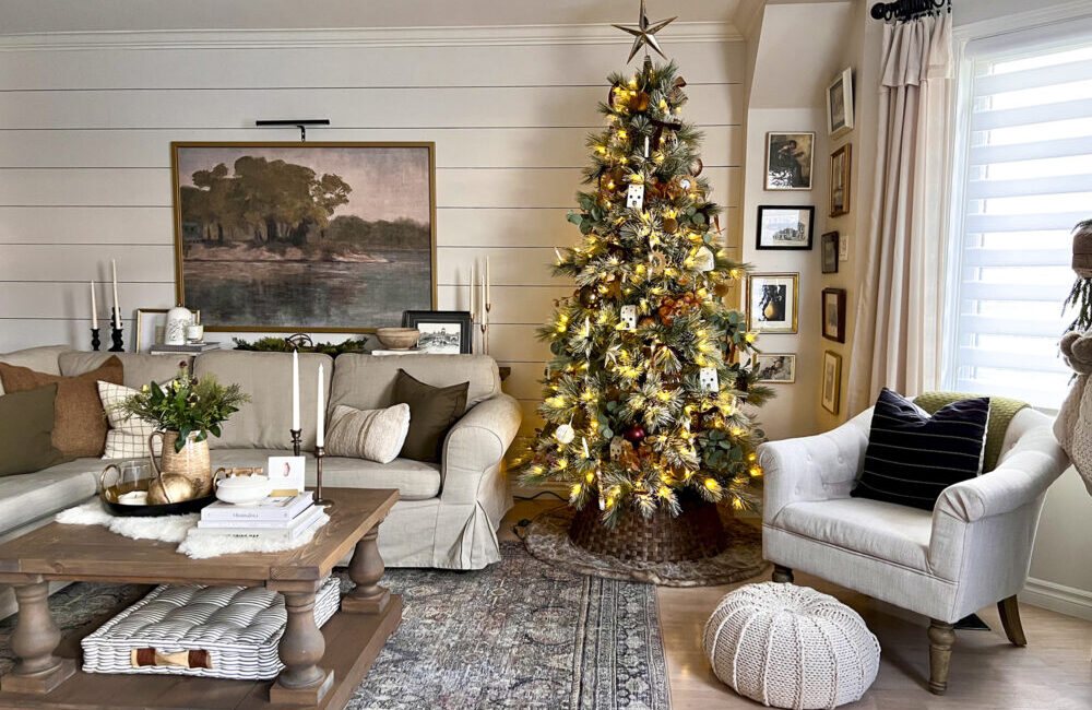 Don’t Stress About Holiday Prep; Hire Angie!