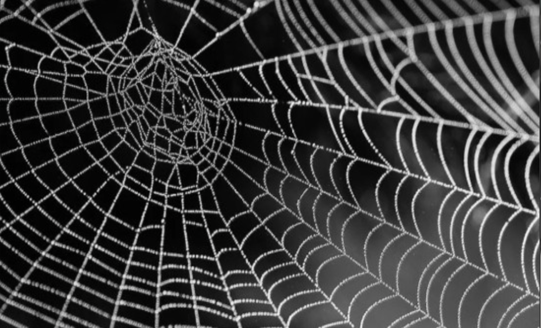 How to Prevent Cobwebs