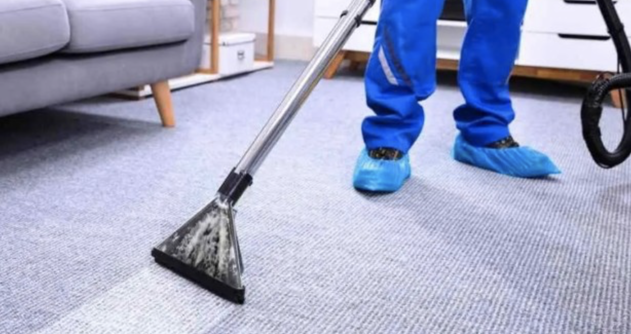 How to Properly Steam Clean Your Carpet & Other Spring Cleaning Tips