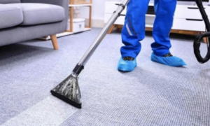 View of cleaner with blue pants and blue shoe protecters on gray carpet steam cleaning floor