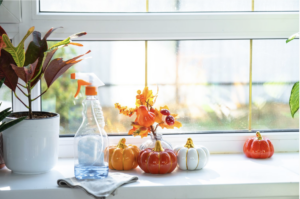 Autumn inspired counter top with a cleaning spray bottle, and ceramic mini 4 orange and white pumpkins and a fall plant